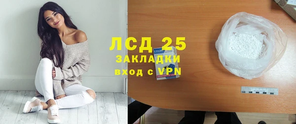 шишки Алзамай