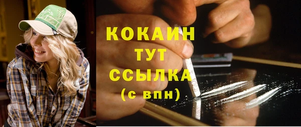 шишки Алзамай