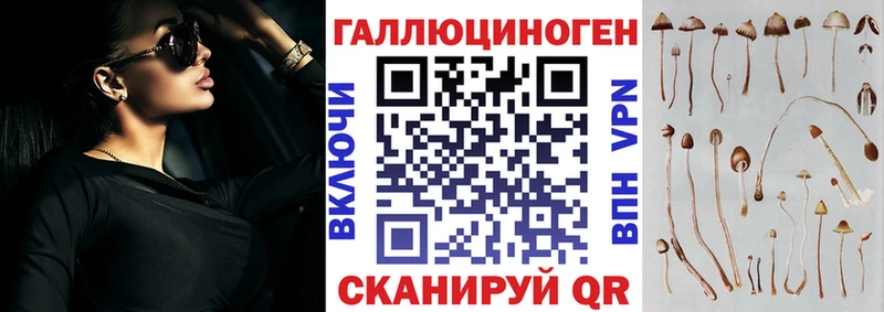 Псилоцибиновые грибы Psilocybine cubensis  Каменка 